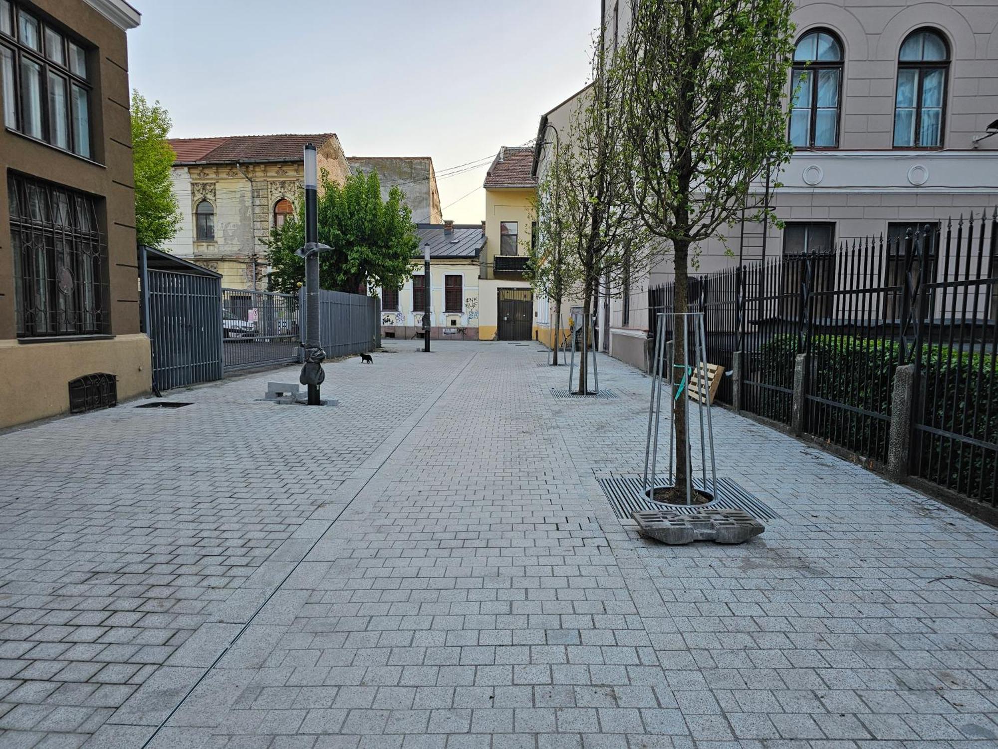 Muzeului Studio Cluj-Napoca Eksteriør billede